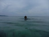 Open Water Course