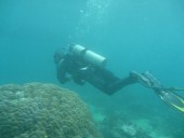 Open Water Course