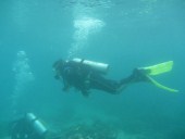 Open Water Course