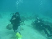 Open Water Course