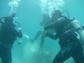 Open Water Course