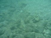 Open Water Course