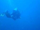 Verde Island