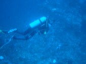 Verde Island