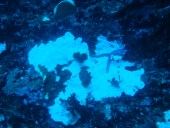 Verde Island