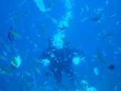 Verde Island